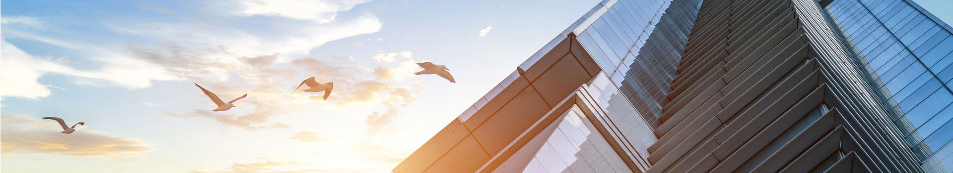 广东珠工工程机械有限公司,抓料机,汽车拆解机,挖掘机,正面吊,堆高机,打桩机